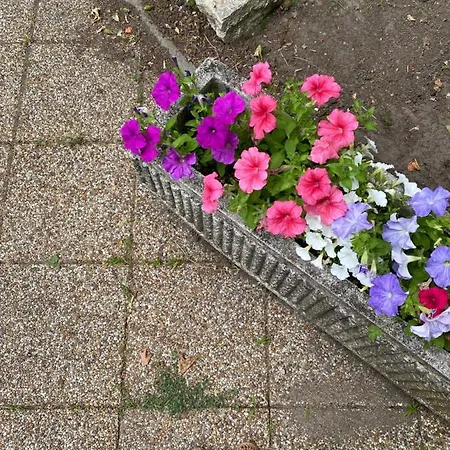 Διαμέρισμα Napsugar Retro Gárdony