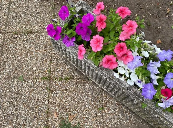 Lägenhet Napsugar Retro Gárdony