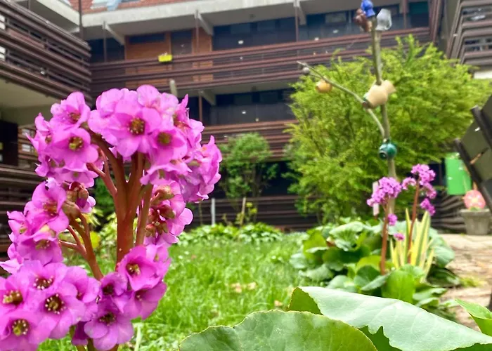 Napsugar Retro Lägenhet Gárdony